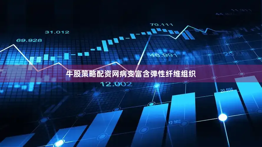 牛股策略配资网病变富含弹性纤维组织